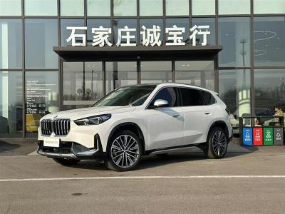 2024年1月 寶馬 寶馬X1 xDrive25Li X設(shè)計(jì)套裝圖片