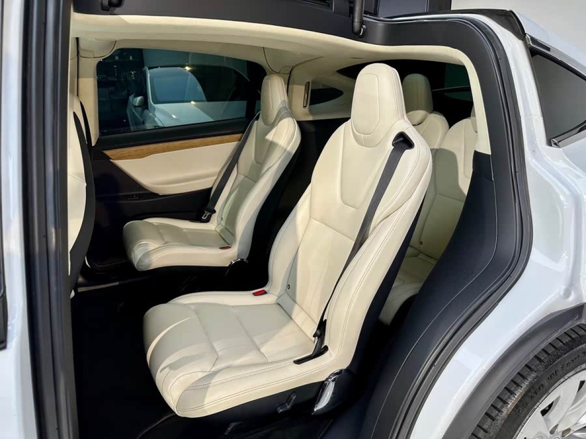特斯拉 Model X  2017款 Model X 100D 長續(xù)航版圖片