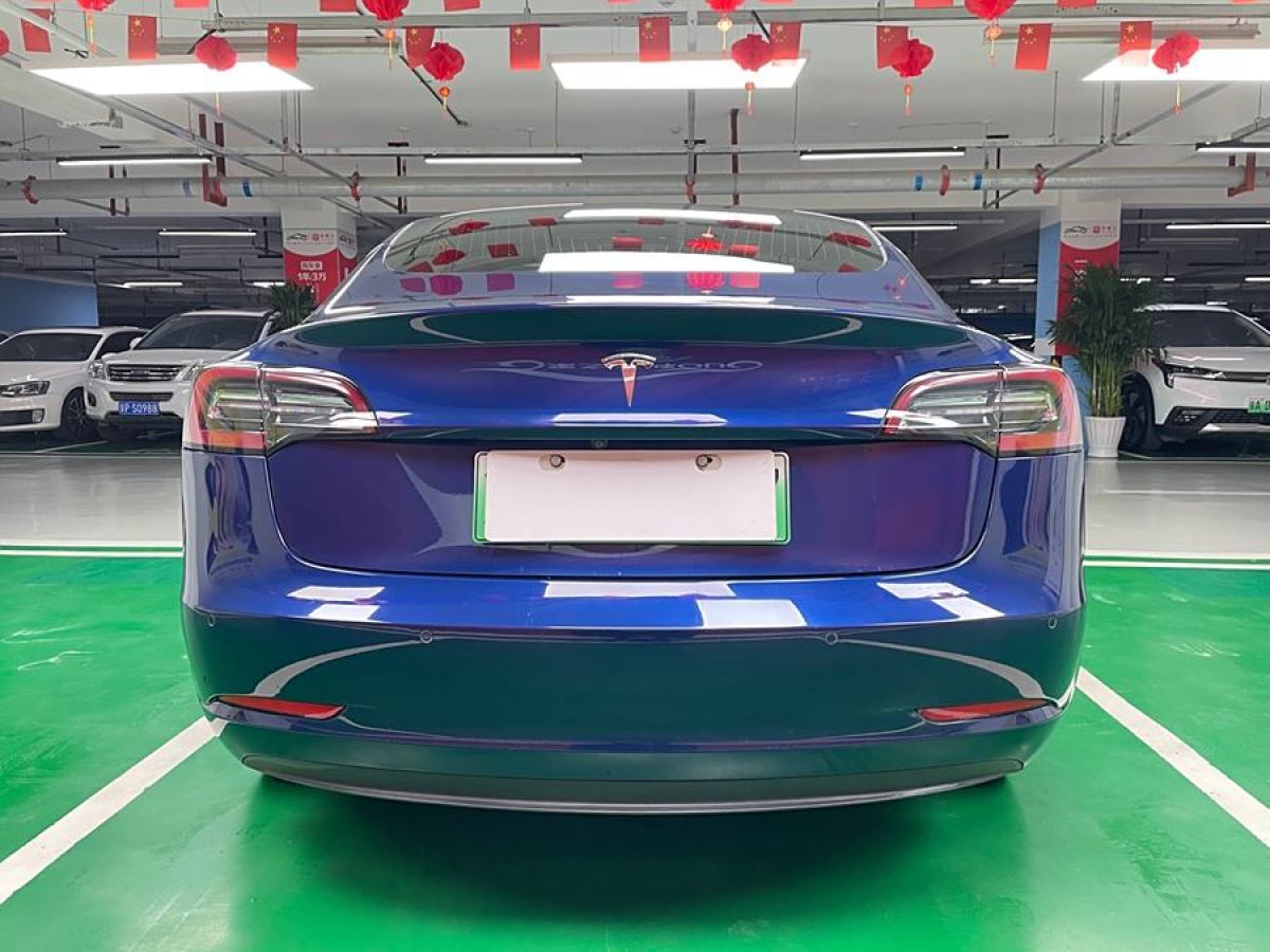 特斯拉 Model 3  2019款 長續(xù)航后驅(qū)版圖片