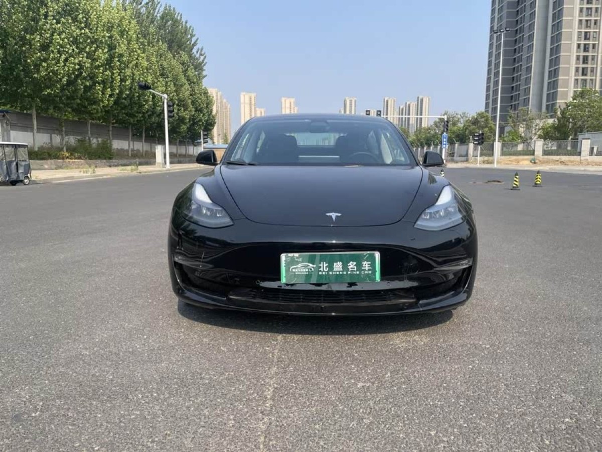 特斯拉 Model 3  2019款 Performance高性能全輪驅(qū)動版圖片