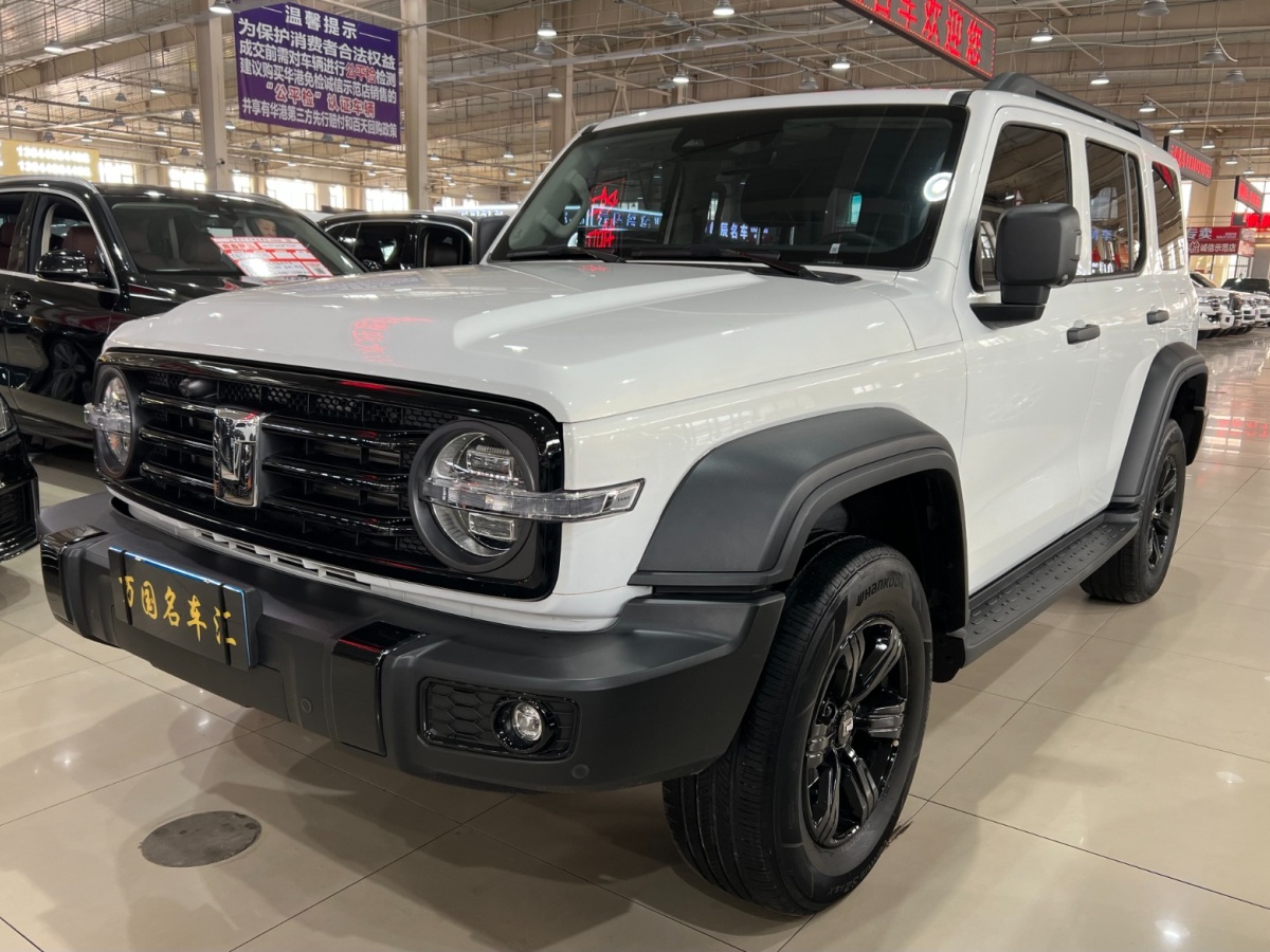 坦克 坦克300  2022款 2.0T 坦克游俠圖片