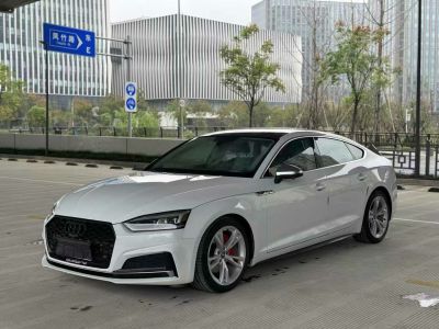 2019年1月 奧迪 奧迪A5(進(jìn)口) Cabriolet 40 TFSI 時(shí)尚型圖片