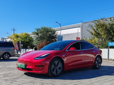 2021年3月 特斯拉 Model Y 改款 標(biāo)準(zhǔn)續(xù)航后驅(qū)升級(jí)版圖片