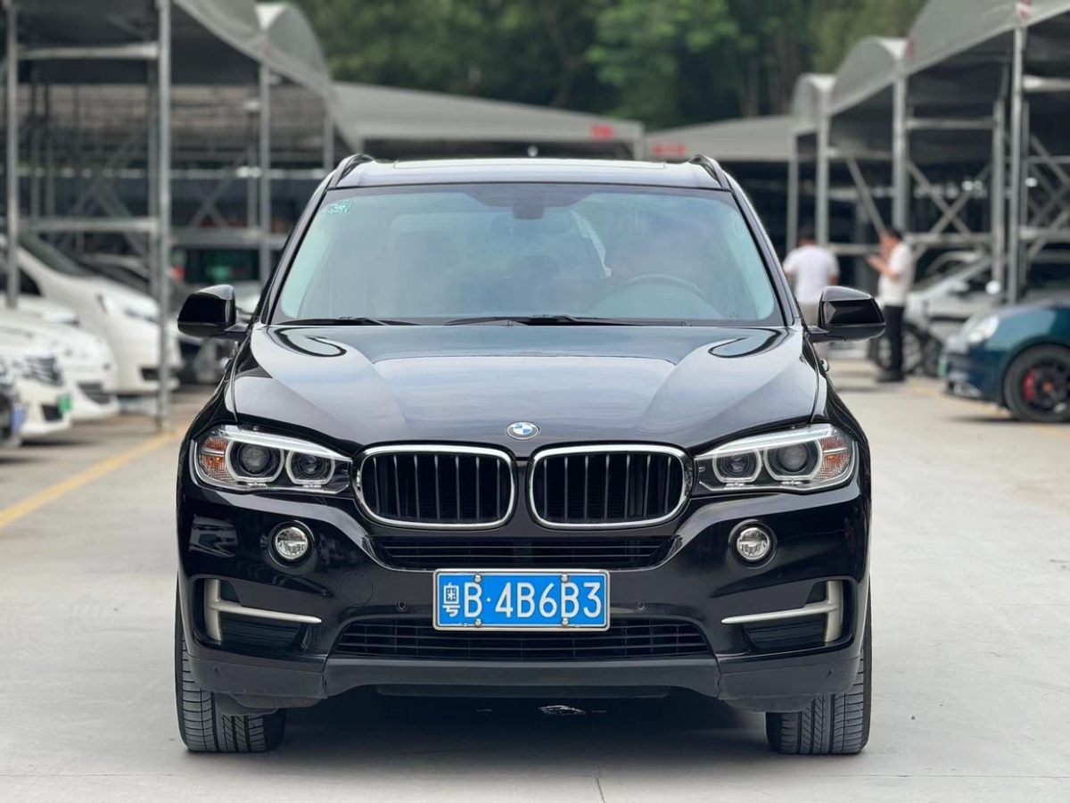 寶馬 寶馬X5  2014款 xDrive35i 領(lǐng)先型圖片