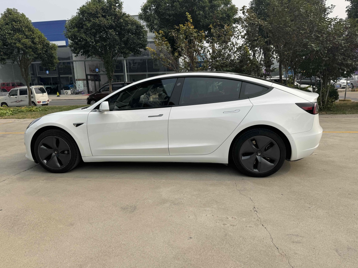 特斯拉 Model 3  2019款 標(biāo)準(zhǔn)續(xù)航后驅(qū)升級(jí)版圖片