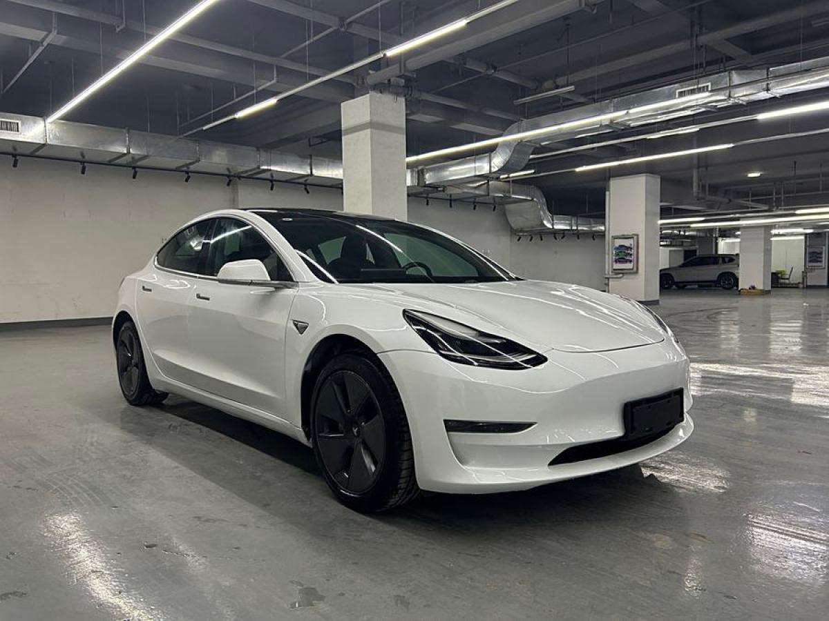 特斯拉 Model 3  2019款 長續(xù)航后驅(qū)版圖片