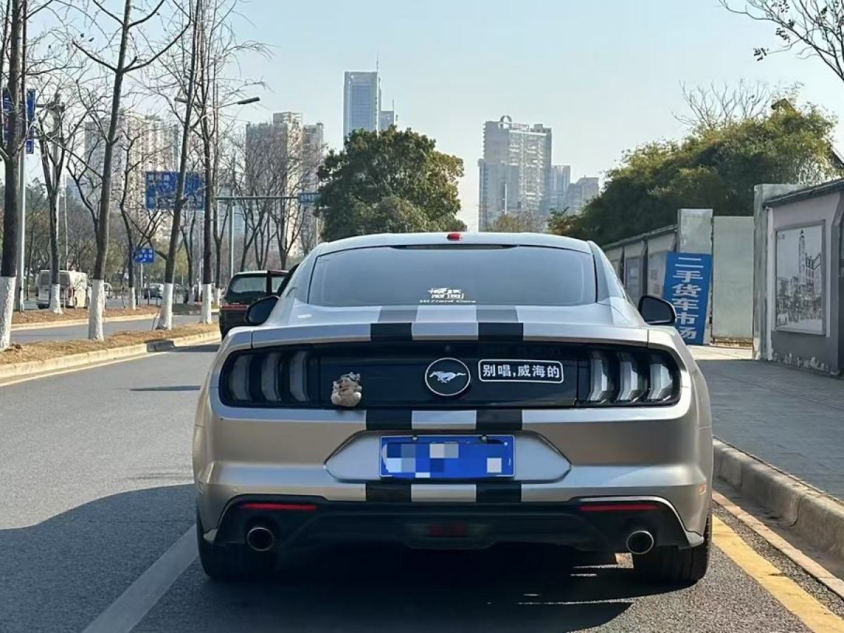 福特 Mustang  2019款 2.3L EcoBoost圖片