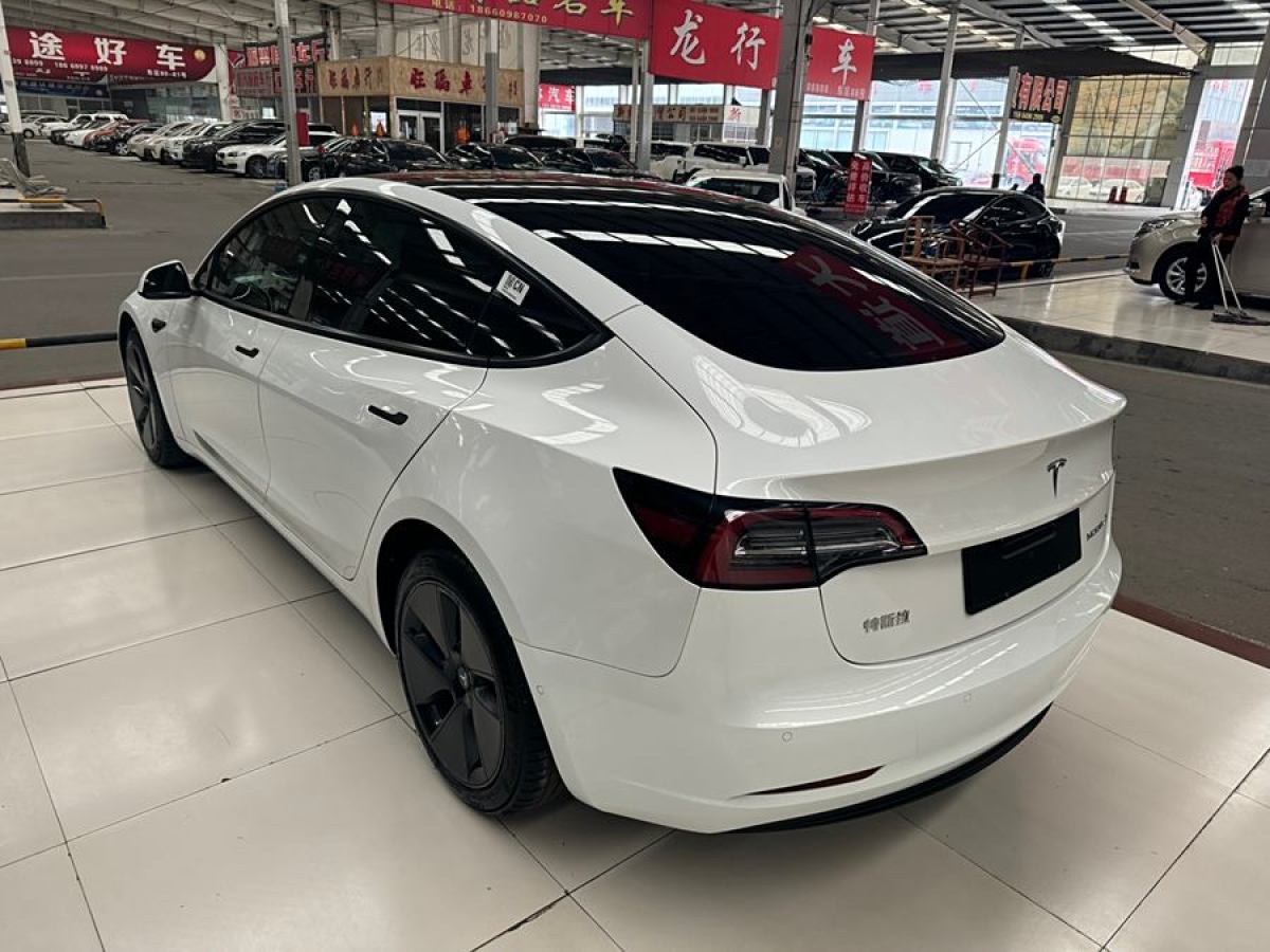 特斯拉 Model 3  2021款 改款 標(biāo)準(zhǔn)續(xù)航后驅(qū)升級(jí)版圖片