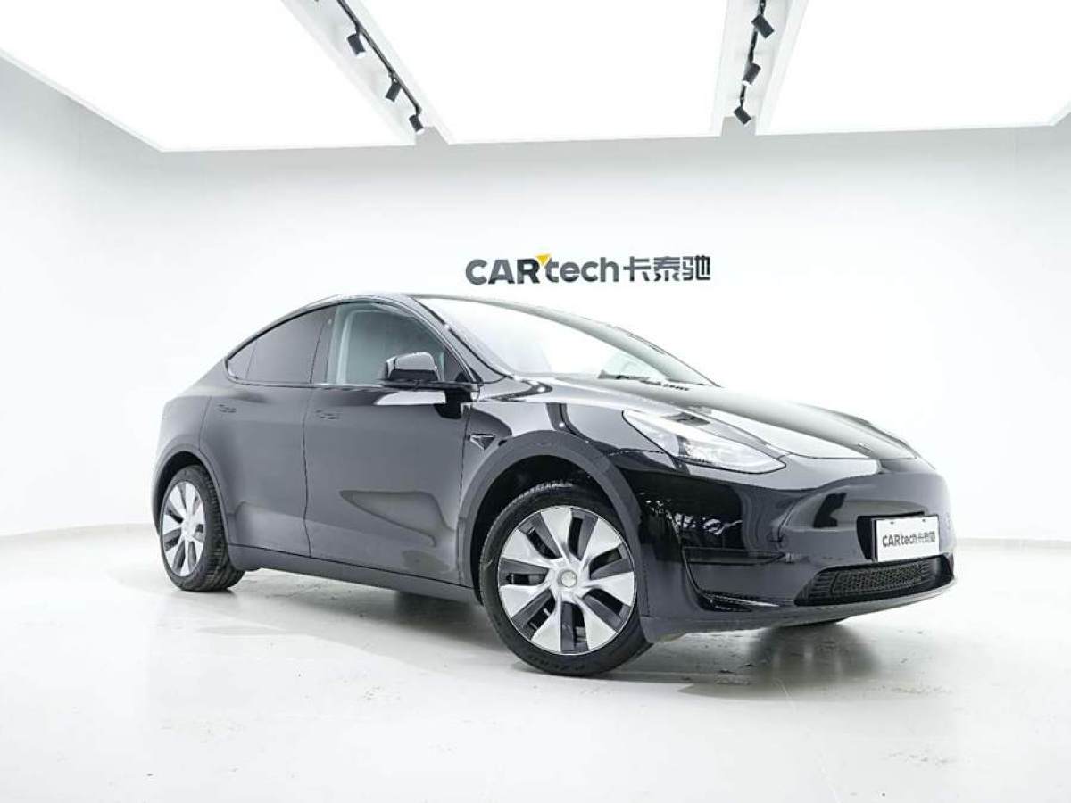 特斯拉 Model Y  2020款 改款 長續(xù)航后輪驅(qū)動版圖片