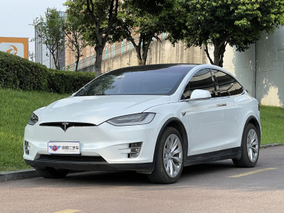 2019年1月 特斯拉 Model X Model X 75D图片