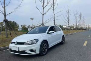 高尔夫 大众 2.0TSI GTI