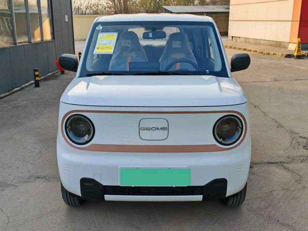 吉利 熊貓mini  2024款 200km 熊貓騎士圖片