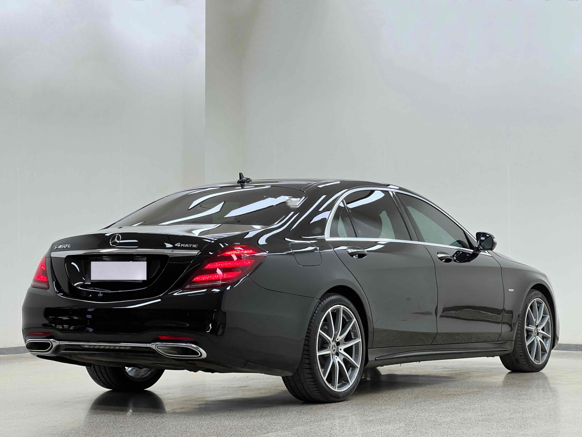 奔馳 奔馳S級  2019款 S 450 L 4MATIC 臻藏版圖片