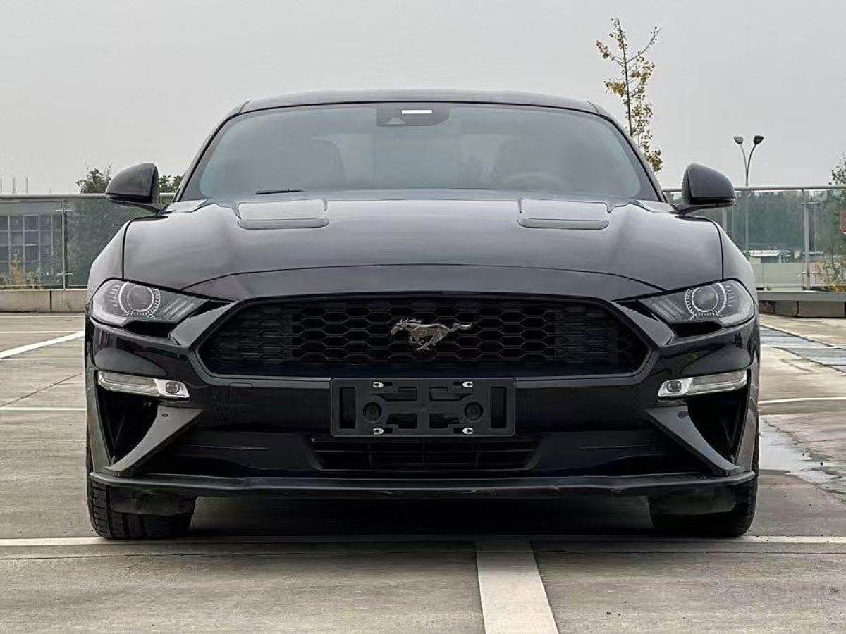 福特 Mustang  2019款 2.3L EcoBoost圖片