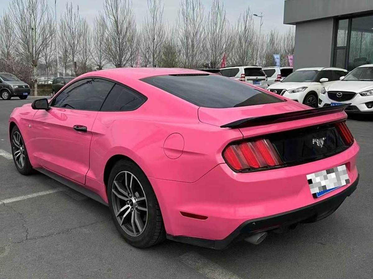 福特 Mustang  2016款 2.3T 性能版圖片