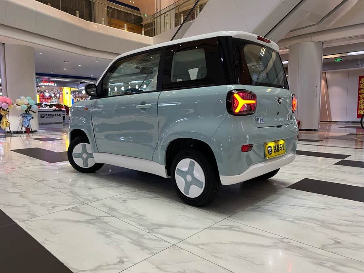 知豆 知豆彩虹  2024款 沐光版圖片
