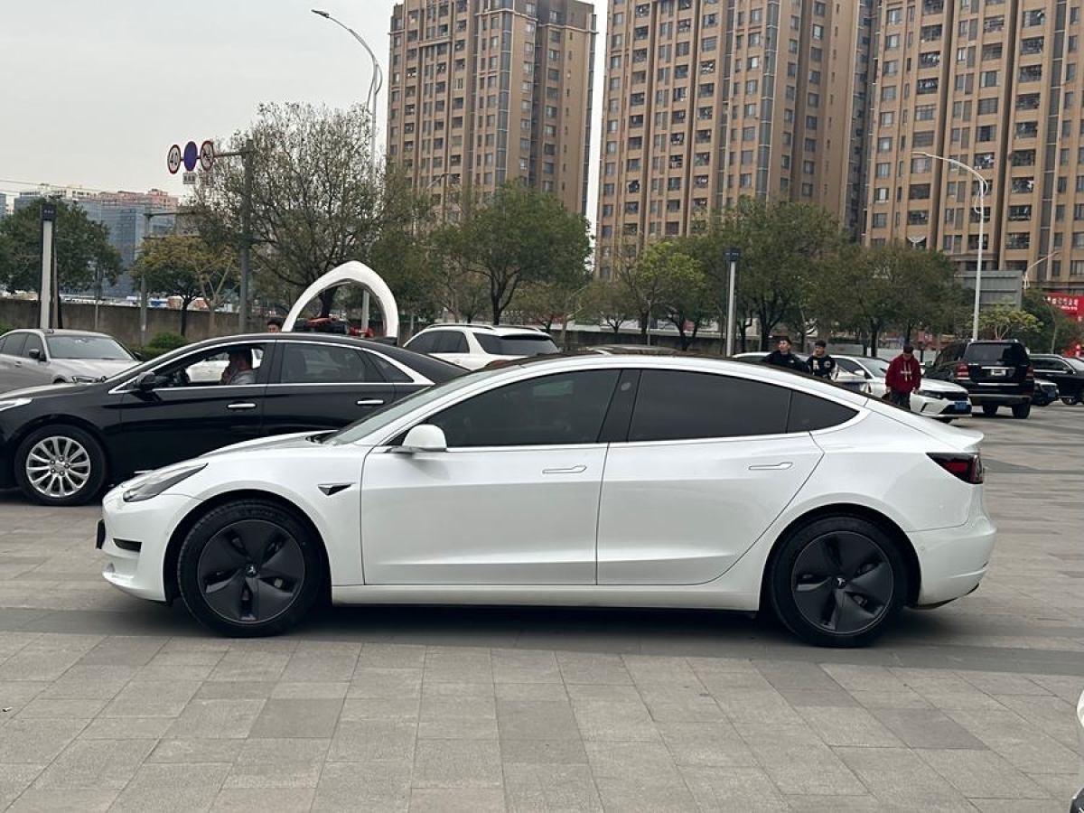 特斯拉 Model 3  2019款 標(biāo)準(zhǔn)續(xù)航后驅(qū)升級(jí)版圖片