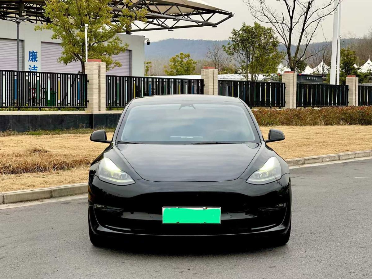 特斯拉 Model 3  2022款 Performance高性能全輪驅(qū)動(dòng)版圖片