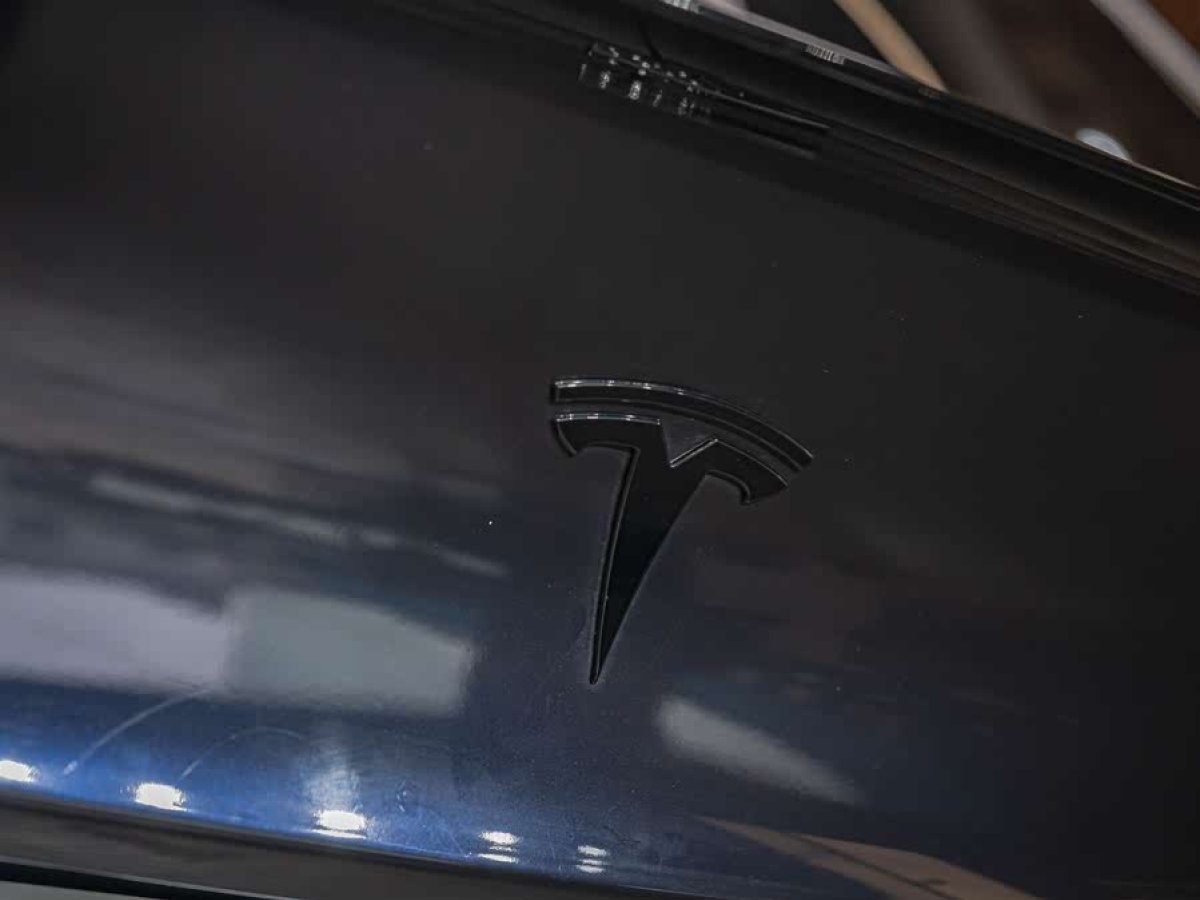 特斯拉 Model Y  2021款 標準續(xù)航后驅(qū)版圖片