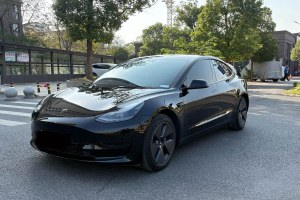 Model 3 特斯拉 后輪驅(qū)動(dòng)版