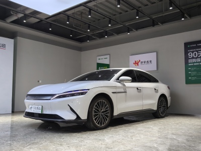 2022年6月 比亚迪 汉 EV 标准续航版豪华型图片