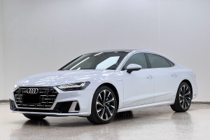 奥迪A7L 奥迪 45 TFSI quattro S-line 圣骑士