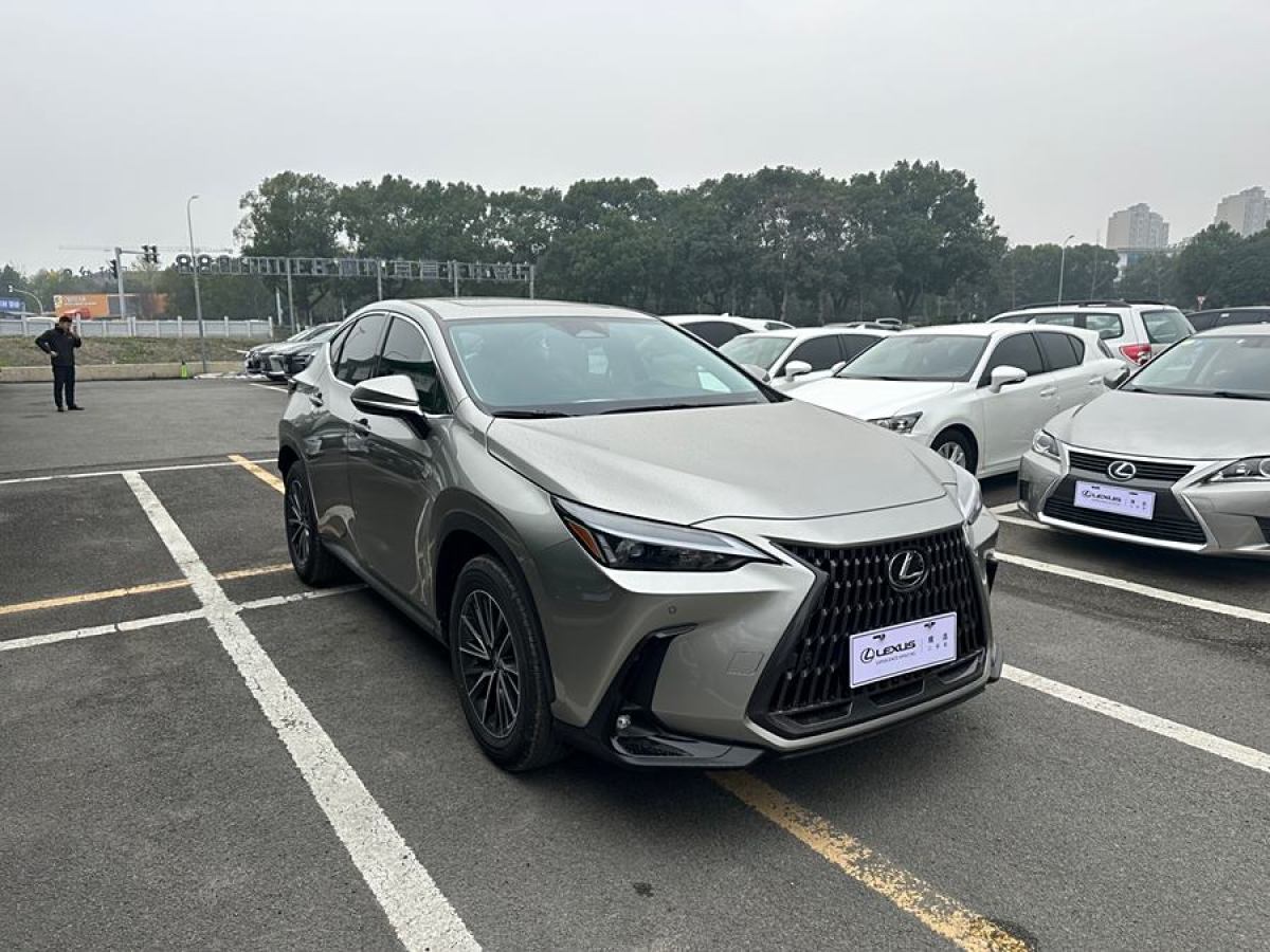 雷克薩斯 NX  2024款 260 前驅(qū) 創(chuàng)悅版圖片