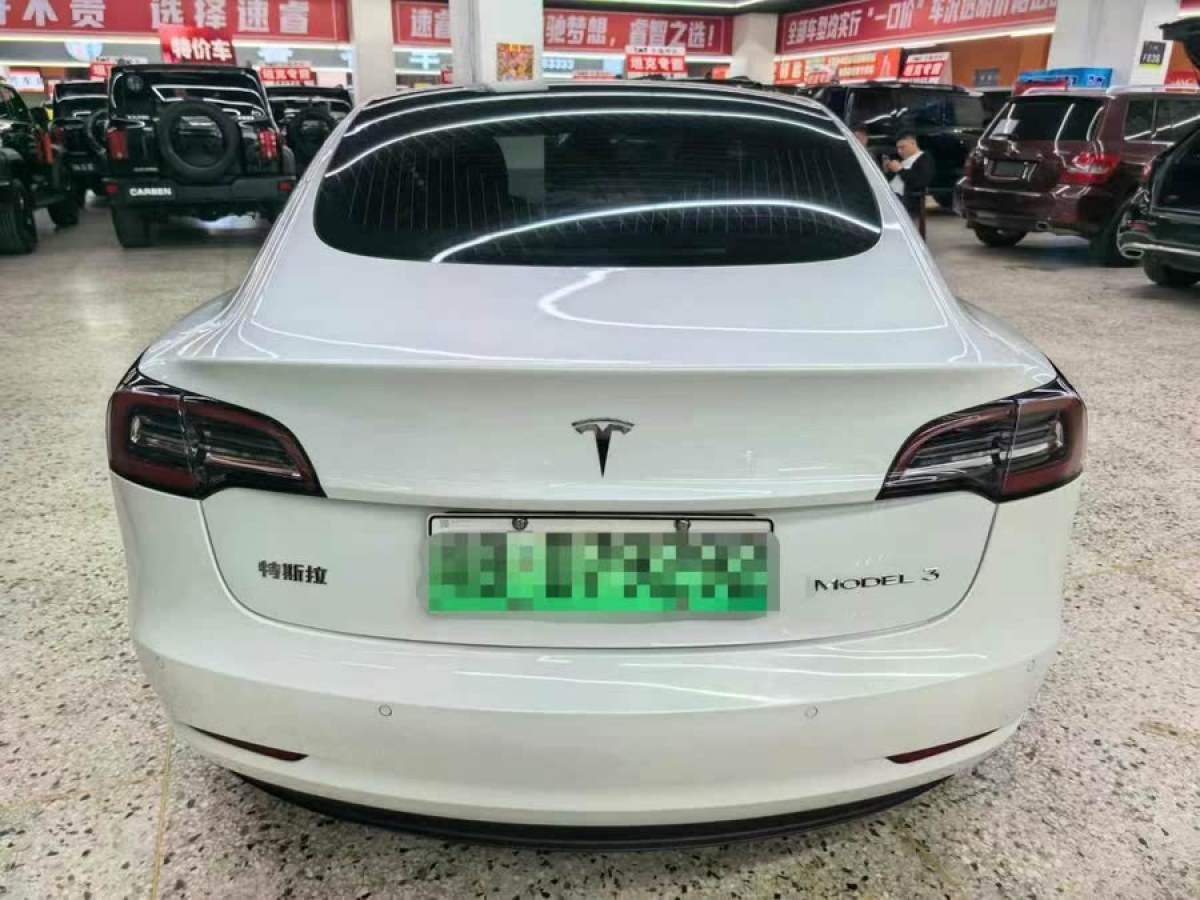 特斯拉 Model 3  2019款 標(biāo)準(zhǔn)續(xù)航后驅(qū)升級版圖片