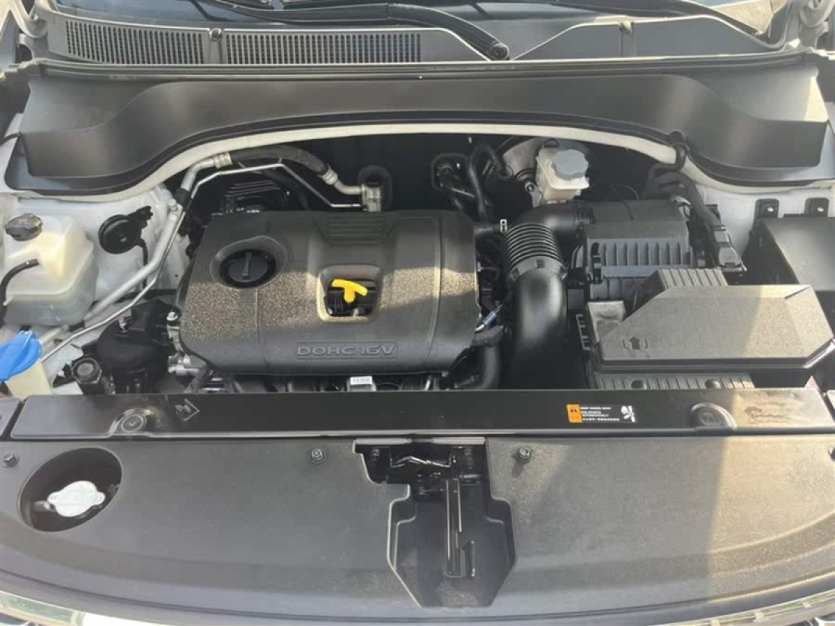 起亞 智跑  2019款 2.0L 自動智享豪華版圖片