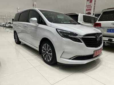 2021年3月 上喆 上喆V-Class V260L 金提香版圖片