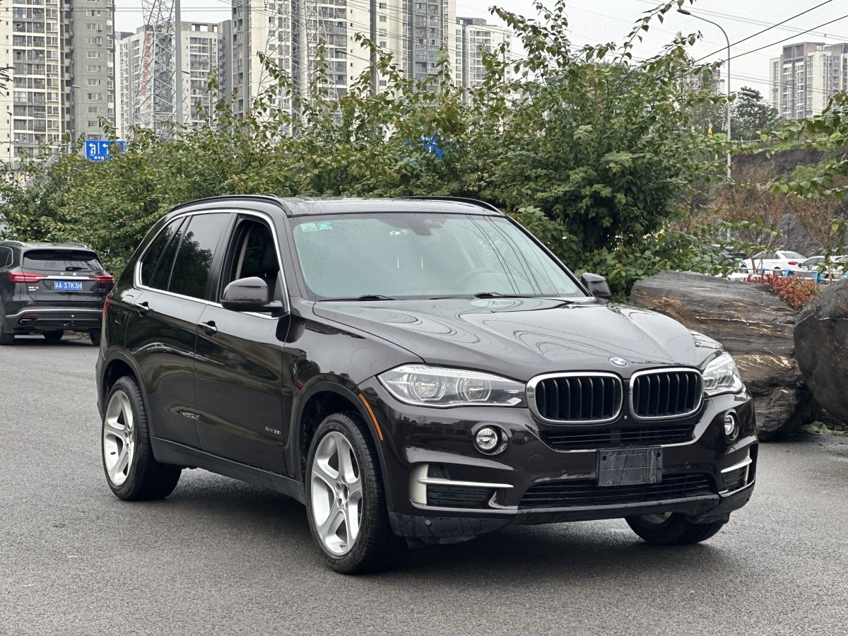 寶馬 寶馬X5  2014款 xDrive35i 領(lǐng)先型圖片