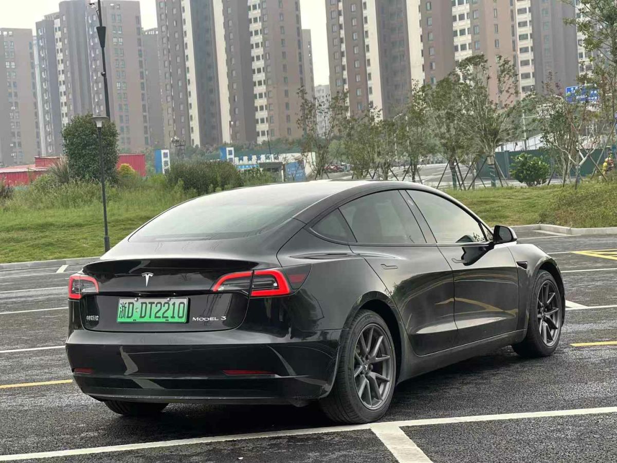 2021年1月特斯拉 Model S  2021款 Performance 高性能版