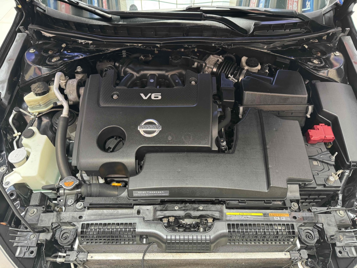 日產(chǎn) 天籟  2011款 2.5L XL領先版圖片