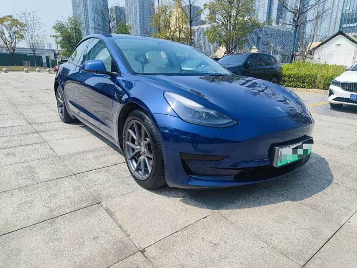 2022年1月特斯拉 Model 3  2021款 改款 標(biāo)準(zhǔn)續(xù)航后驅(qū)升級(jí)版