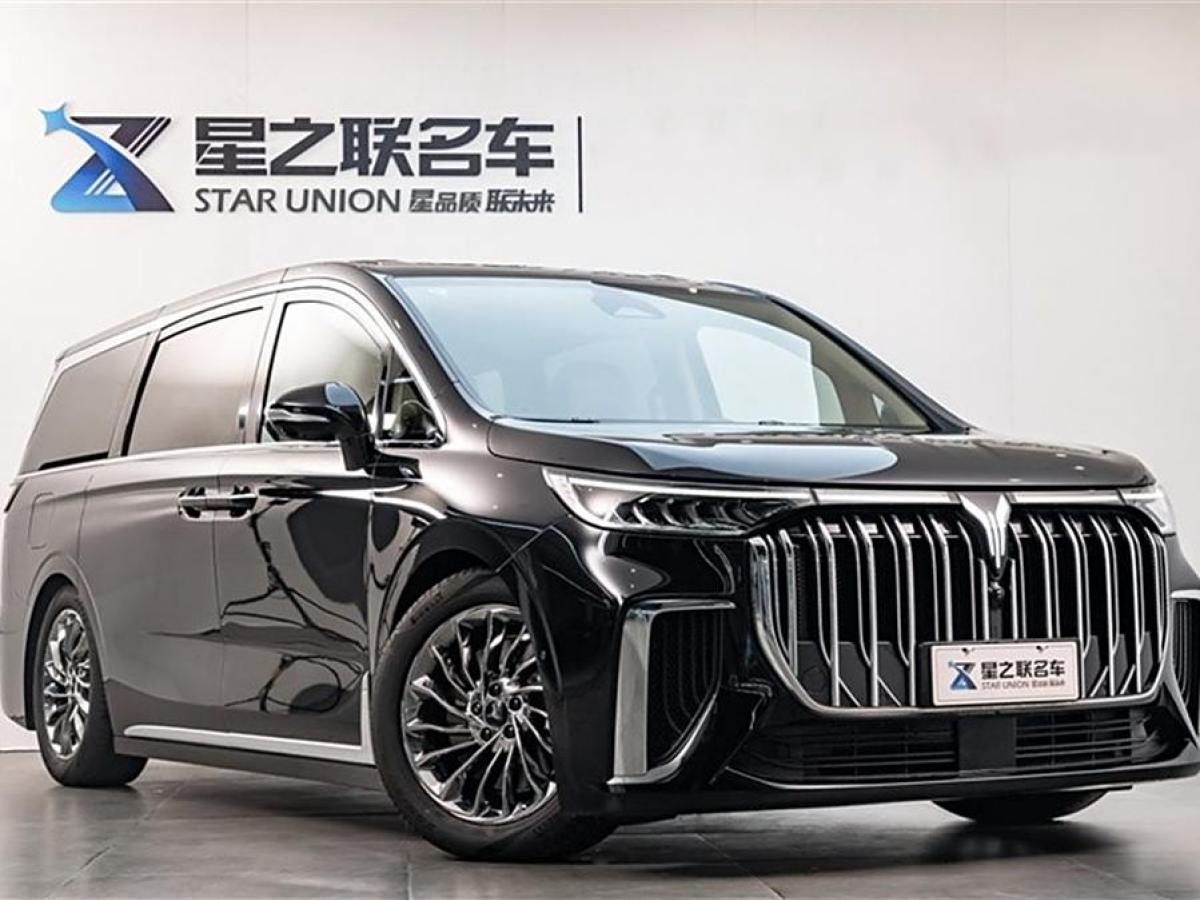 嵐圖 夢想家  2024款 PHEV 超長續(xù)航旗艦版圖片