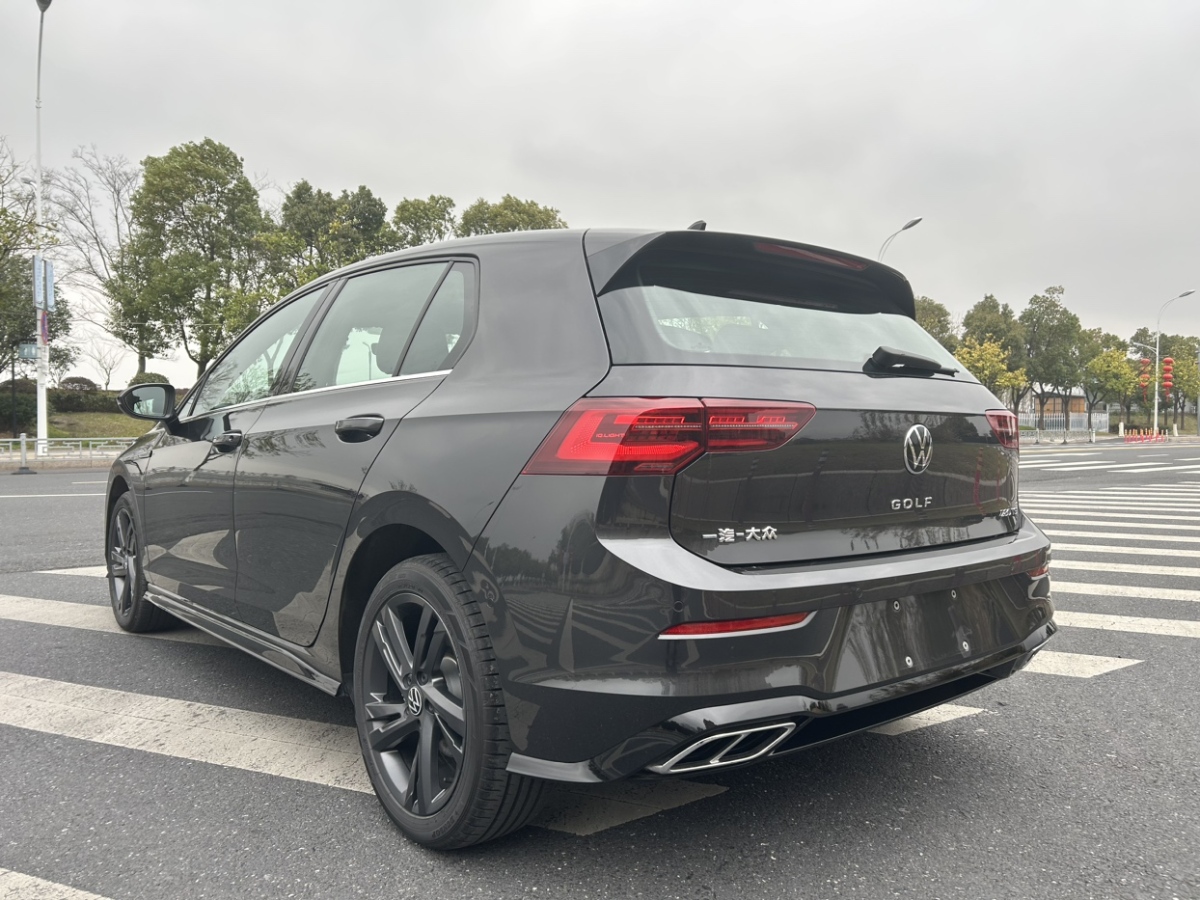 2024年2月大眾 高爾夫  2023款 280TSI DSG R-Line Lite