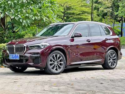 宝马 宝马X5(进口) xDrive30i M运动套装图片