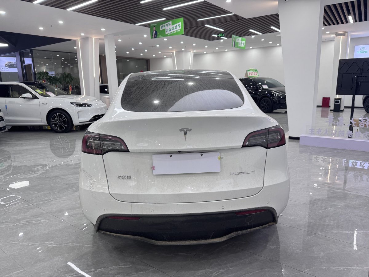 特斯拉 Model Y  2021款 改款 標(biāo)準(zhǔn)續(xù)航后驅(qū)升級(jí)版圖片