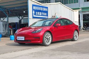 Model 3 特斯拉 后輪驅(qū)動(dòng)版