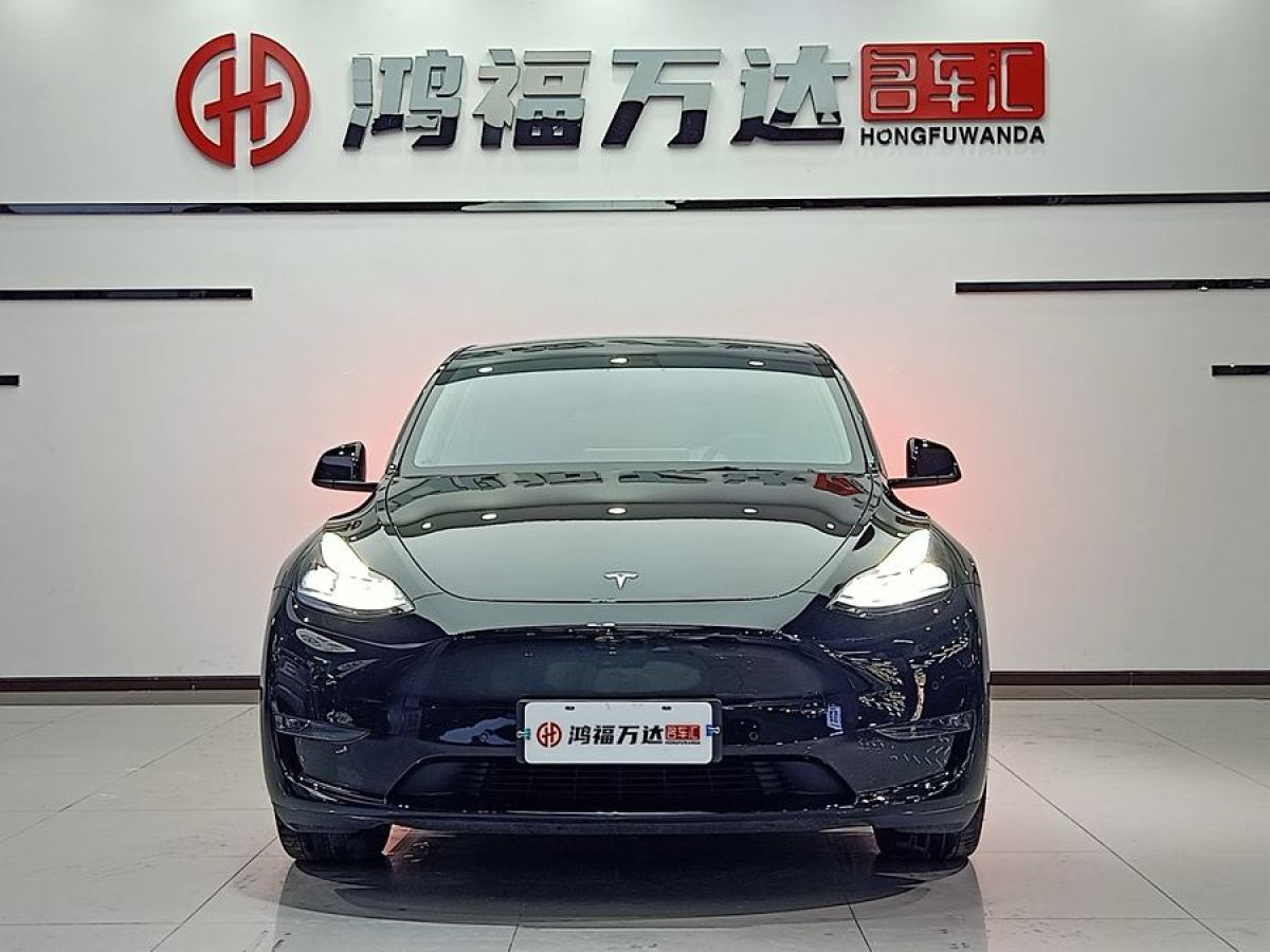 特斯拉 Model Y  2021款 改款 長續(xù)航全輪驅(qū)動版圖片