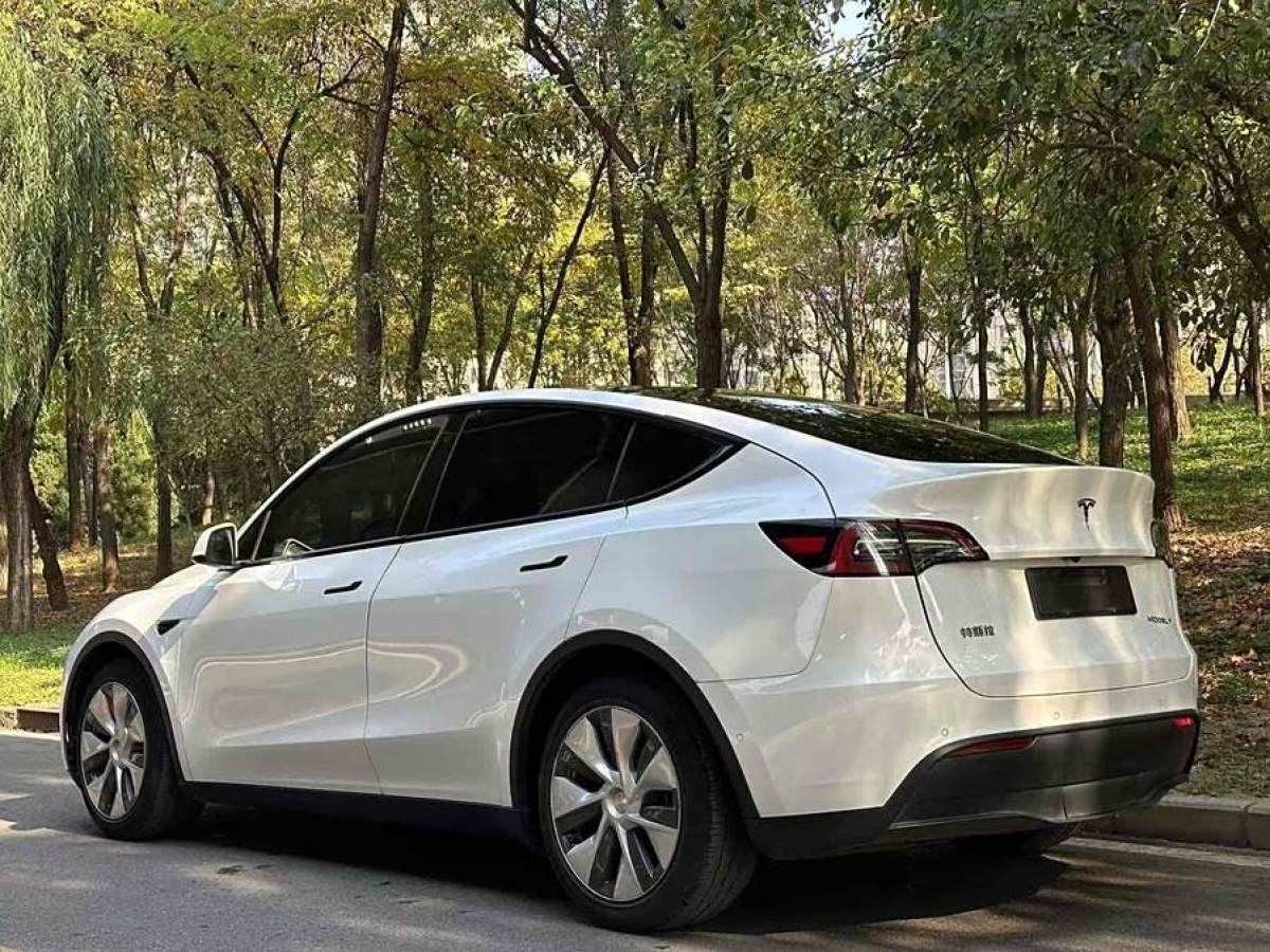 特斯拉 Model 3  2021款 改款 長續(xù)航全輪驅(qū)動版圖片