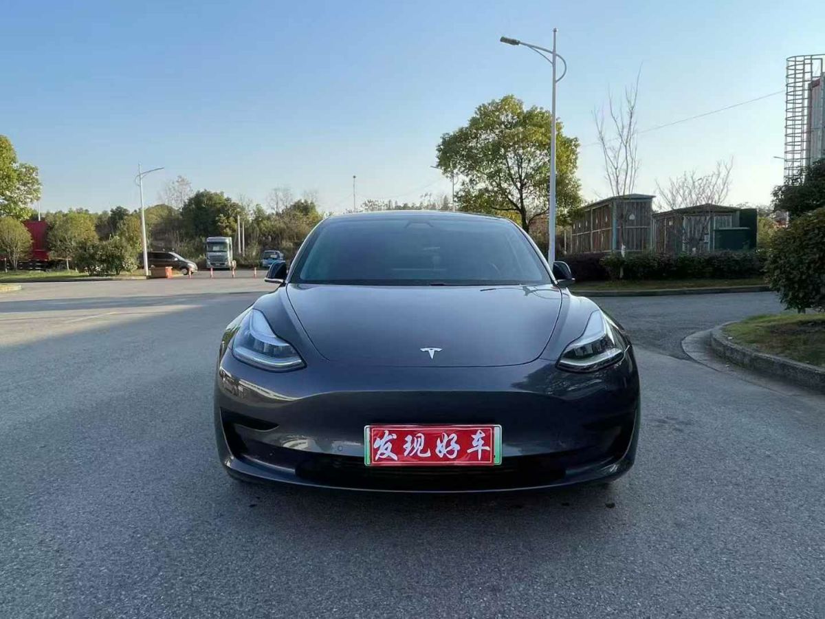 特斯拉 Model X  2020款 Performance 高性能版圖片