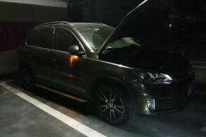 途觀 大眾 1.8 TSI 30周年紀念版