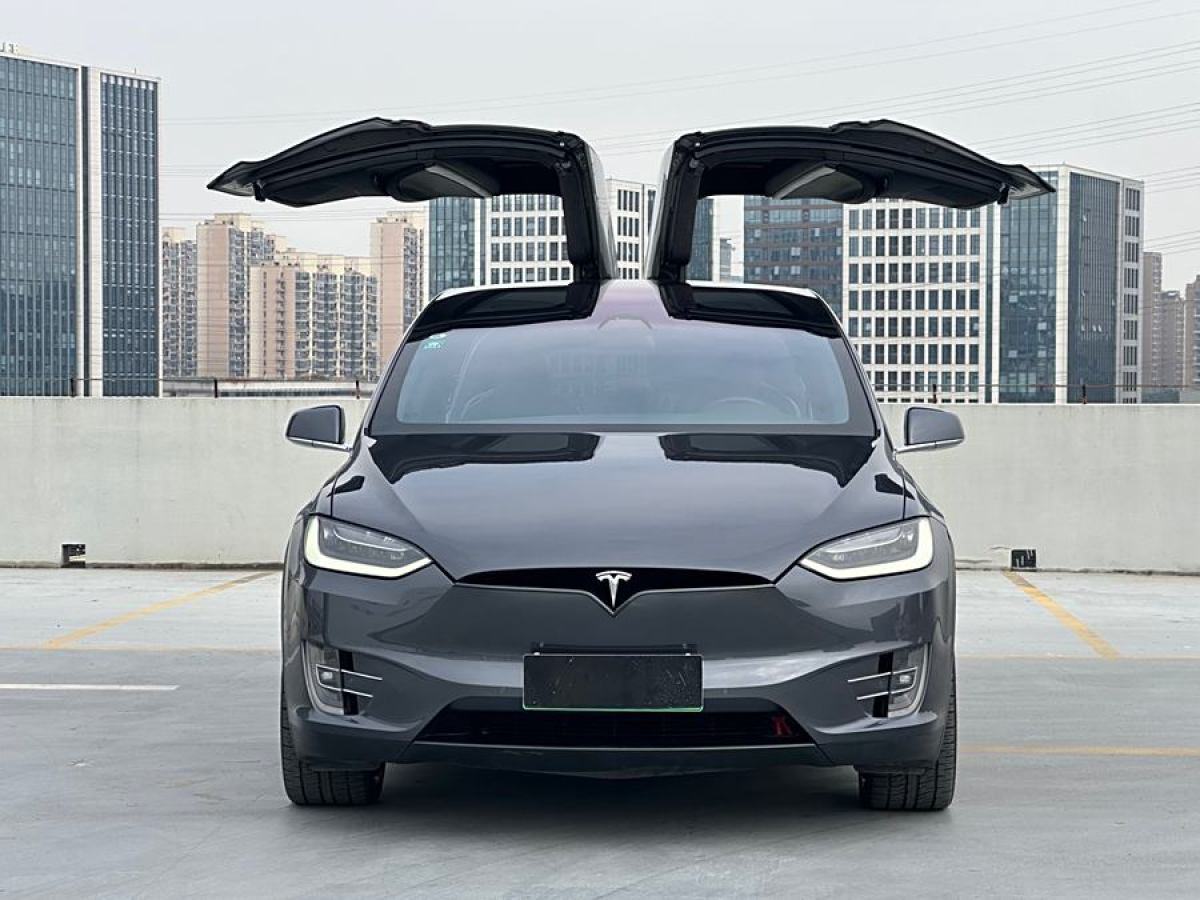 特斯拉 Model X  2019款 長續(xù)航版圖片