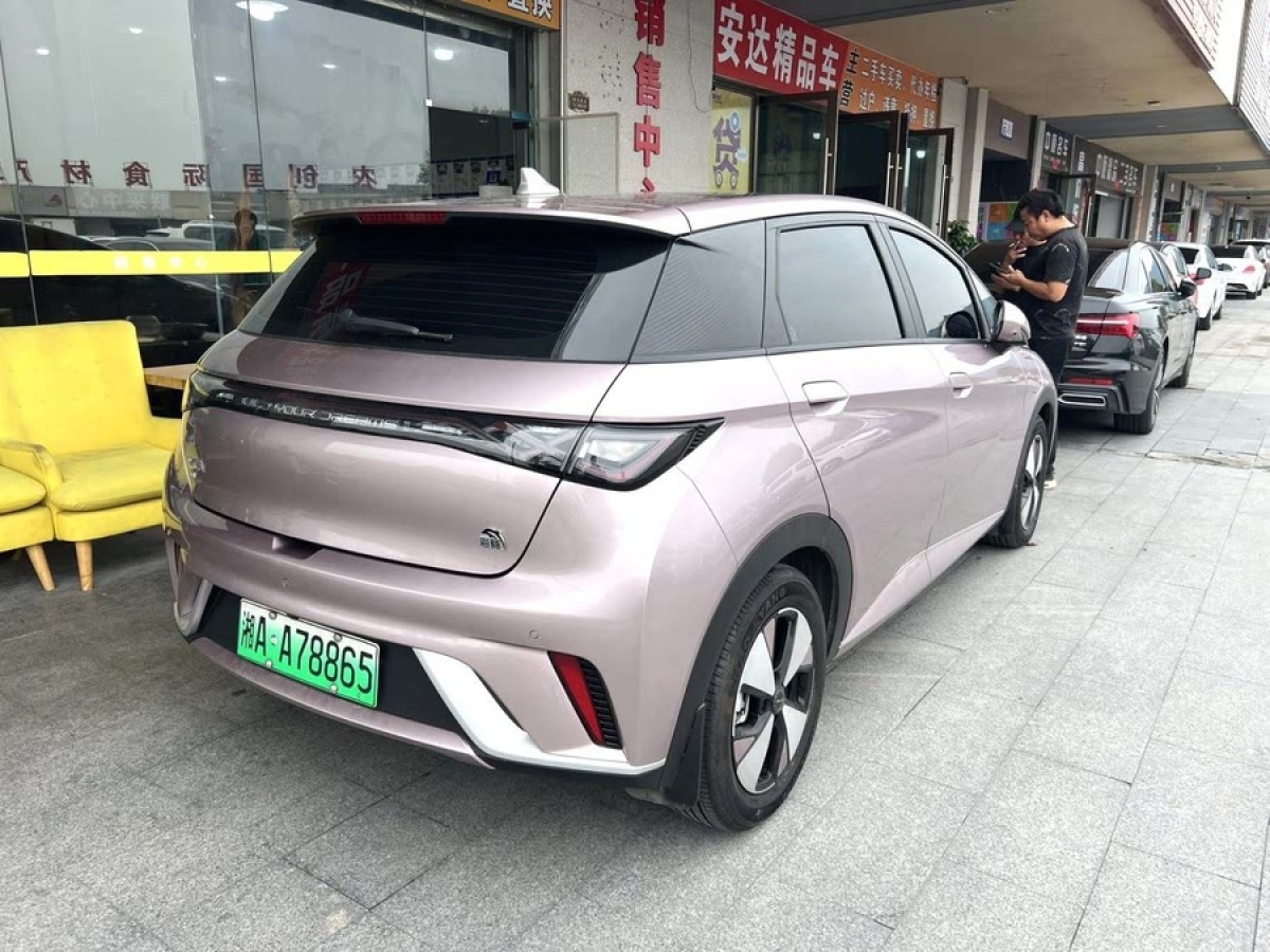 比亞迪 海豚  2023款 420km 時尚版圖片