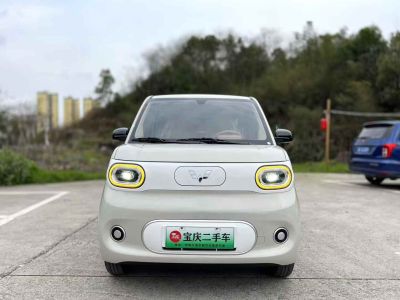 2025年3月 五菱 菱勢(shì)黃金小卡 倉(cāng)柵 頂配版圖片