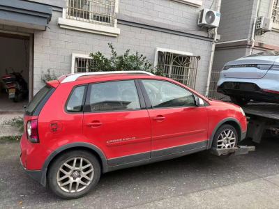 2008年4月 大众 Polo 1.6L Cross Polo MT图片