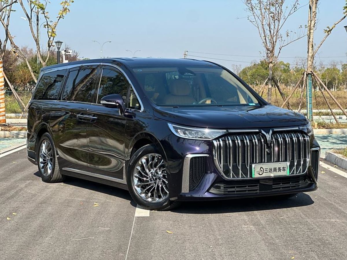 嵐圖 夢想家  2024款 PHEV 超長續(xù)航旗艦版圖片