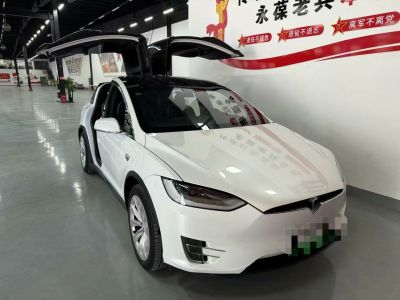 2020年1月 特斯拉 Model X Performance 高性能版圖片