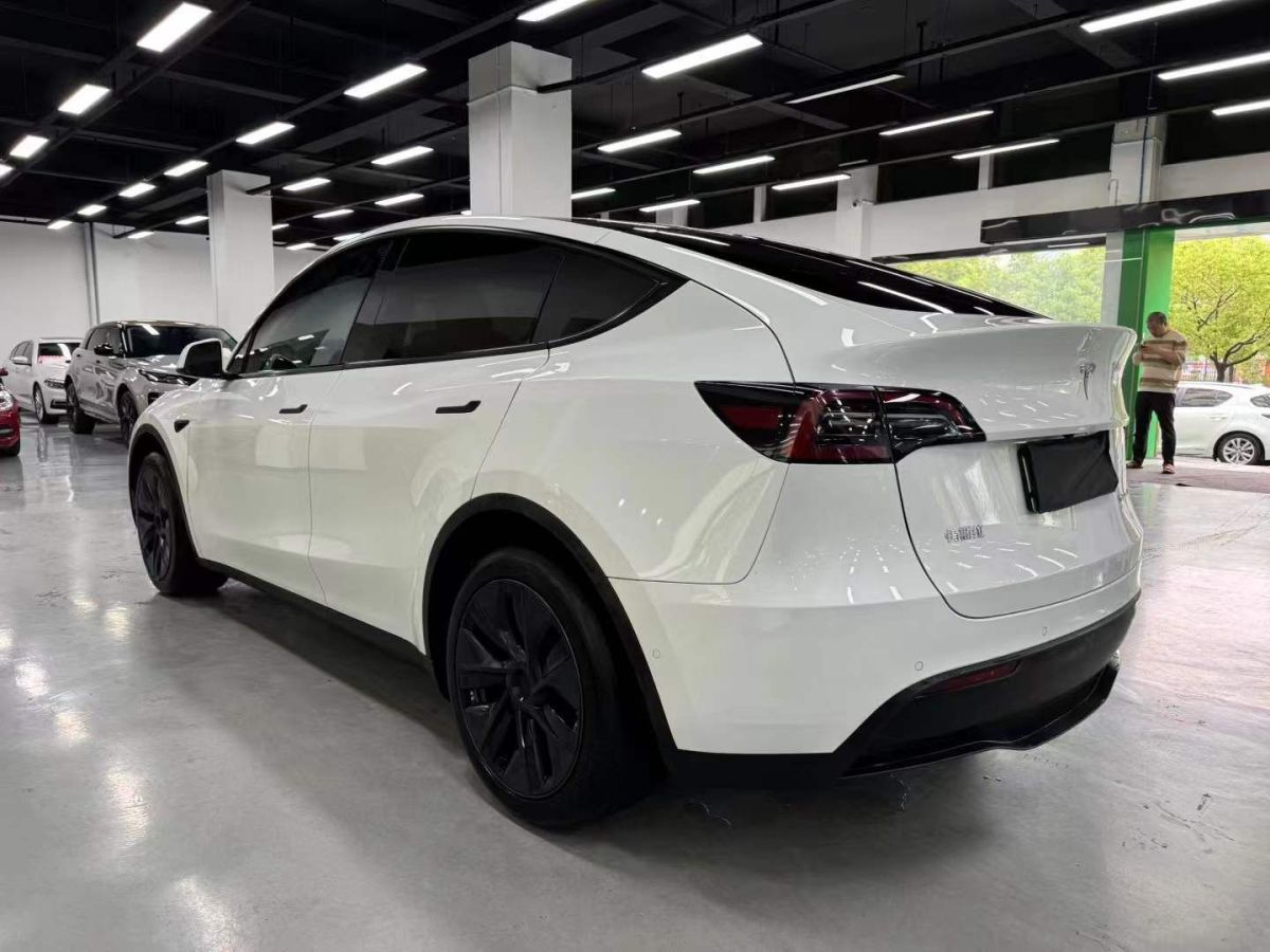 特斯拉 Model Y  2024款 Performance高性能版圖片